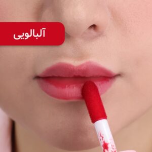 تینت گونه و لب نیکس ژل ۱۰ میل رنگ آلبالویی ۰۲