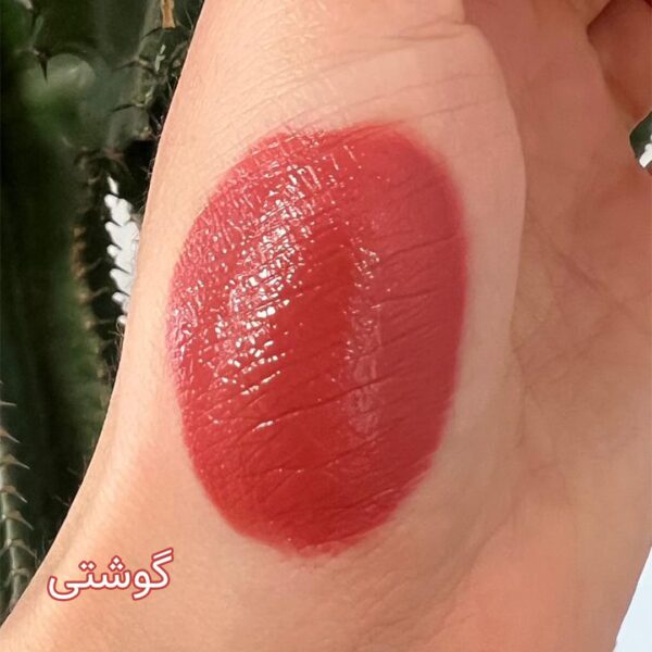 تست رژگونه گوشتی