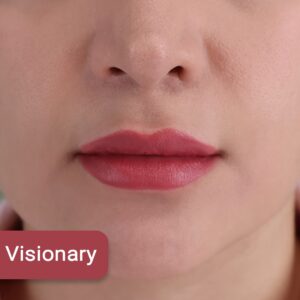 رژ مدادی نیکس ژل رنگ Visionary