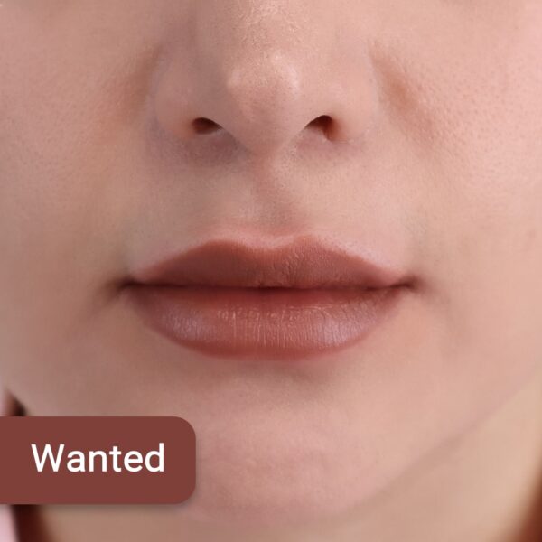 رژ مدادی نیکس ژل رنگ Wanted